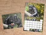 2027 calendar